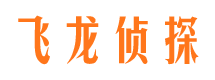 临城捉小三公司